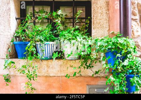 Gruppo di vasi di fiori finemente decorati sotto la finestra di una tipica casa europea. Lo sfondo della vecchia parete e le finestre sono decorate con Foto Stock