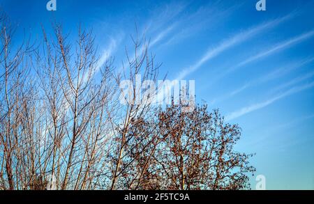 Il vento forma le nuvole nel cielo creando bianco strisce blu Foto Stock