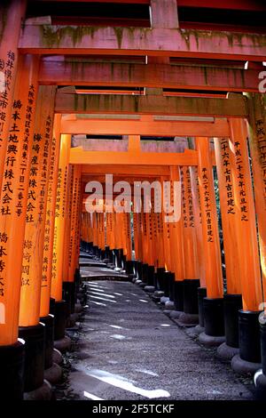 Fushimi Inari Taisha è il santuario principale dedicato al kami Inari, il santuario si trova alla base di una montagna chiamata anche Inari Foto Stock