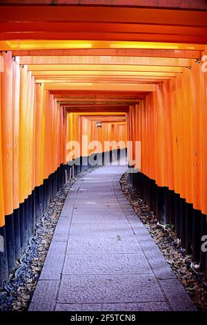 Fushimi Inari Taisha è il santuario principale dedicato al kami Inari, il santuario si trova alla base di una montagna chiamata anche Inari Foto Stock