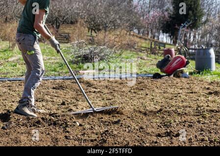 Un agricoltore prepara il terreno per l'orto estivo con un rastrello. Foto di alta qualità Foto Stock