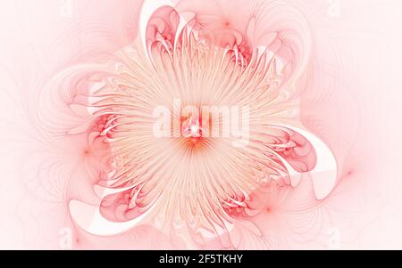 Bel fiore frattale astratto simile a fiori primaverili con raggi su sfondo bianco. Fantasy design in rosso chiaro e rosa. Foto Stock