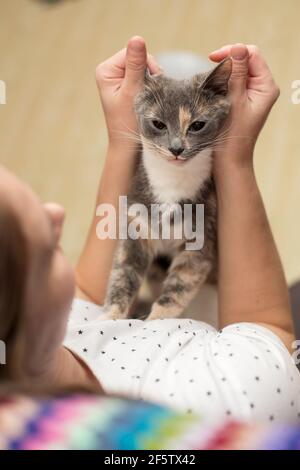 Il gatto affettuoso e pensivo si siede sul petto del proprietario, che la abbraccia. Foto Stock