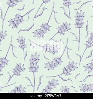 Linea lavanda ART sfondo vettoriale senza giunture. Duotone lilla sfondo verde pastello con fiori su steli, foglie. Annata di erbe botaniche Illustrazione Vettoriale