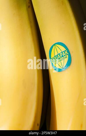 Etichetta Equapak su un mazzo di banane provenienti dall'Ecuador per la vendita in un supermercato britannico. Foto Stock