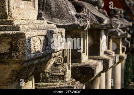 Lanterne giapponesi in pietra al sole primaverile al Grande Santuario Kasuga Taisha, un santuario shintoista e sito patrimonio dell'umanità dell'UNESCO a Nara, Giappone Foto Stock