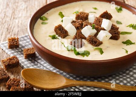 Deliziosa zuppa di purea di Bryndza servita con crostini da vicino in un piatto sul tavolo. Orizzontale Foto Stock