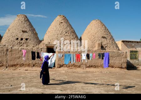 Harran, mattoni di fango, casa di fango, tradizionali case di fango a forma di alveare, trulli, provincia di Sanliurfa, Mesopotamia, Turchia Foto Stock