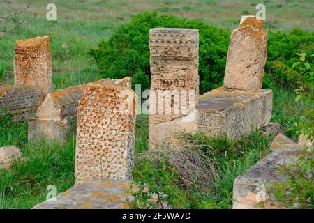 Antico cimitero di Gevas, gravesite, lapidi, Seljuks, architettura Seljuk, Anatolia Est, Provincia Van, Lago Van, Ahtamar, Turchia Foto Stock