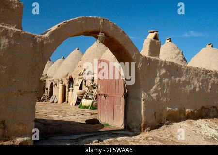 Harran, mattoni di fango, casa di fango, tradizionali case di fango a forma di alveare, trulli, provincia di Sanliurfa, Mesopotamia, Turchia Foto Stock