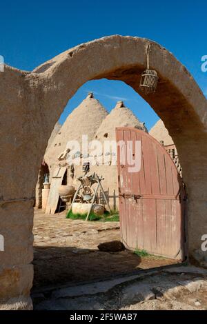 Harran, mattoni di fango, casa di fango, tradizionali case di fango a forma di alveare, trulli, provincia di Sanliurfa, Mesopotamia, Turchia Foto Stock