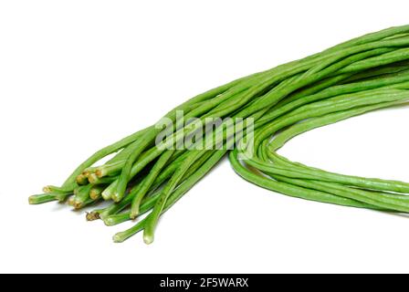 Cowpeas (Vigna unguiculata) fagioli, fagioli, fagioli thailandesi Foto Stock