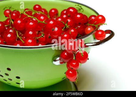 Ribes rosso in setaccio da cucina ( Ribes rubrum) , setaccio, copia di carbonio Foto Stock