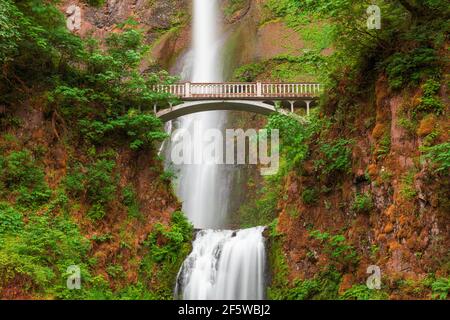 Multnomah Falls, Oregon, USA located in the Columbia River Gorge. Foto Stock