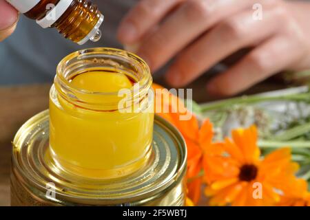 Produzione di unguento di yarrow e marigold (Calendula officinalis) (Achillea millefolium) / Foto Stock