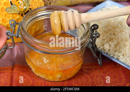Produzione sciroppo di rafano (Cochlearia armoracia) con miele, rafano Foto Stock