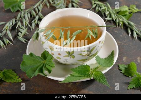 Erba d'avena, paglia d'avena, ortica, manto da donna alpina (avena sativa) (Urtica dioica) (Alchemilla alpina), tè verde d'avena Foto Stock