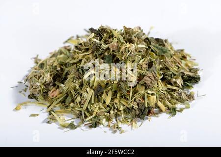 Erba d'avena, paglia d'avena, ortica, manto da donna alpina (avena sativa) (Urtica dioica) (Alchemilla alpina), tè verde d'avena Foto Stock