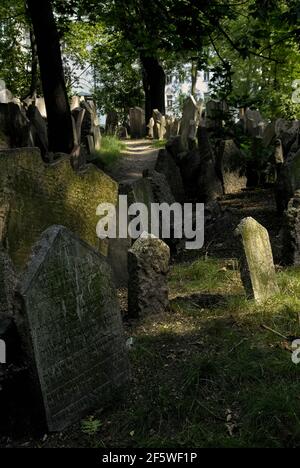 Il vecchio cimitero ebraico congestionato nel quartiere ebraico o Josefov di Praga, capitale della Repubblica Ceca / Repubblica Ceca, probabilmente ospita ben oltre 100,000 sepolture, con circa 12,000 lapidi antiche sulla superficie e molti altri corpi sepolti in fino a 12 livelli sotterranei. Anche se il cimitero fu ampliato più volte durante i 350 anni dispari era in uso, era ancora troppo piccolo. Le pietre di testa ora sulla superficie sono state sollevate a livello del suolo mentre i livelli si sono costruiti, in modo da la maggior parte commemorano gli ebrei ha sepolto parecchi strati giù. Foto Stock