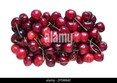 Ciliegie rosse (nome scientifico Prunum) cibo vegetariano di frutta isolato su sfondo bianco Foto Stock