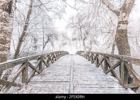 Snowy, wooden bridge in a winter day. Frozen lake and snowy trees, idyllic seasonal winter scenery. Winter landscape, relaxing and calmness view Foto Stock