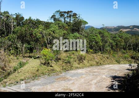 Percorso vuoto circondato da una vegetazione verde fresca dal sentiero escursionistico che conduce ai punti panoramici di Pedra da Macela, nel parco di Serra da Bocaina. Foto Stock