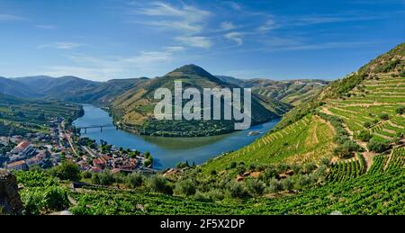 La Valle del Douro a Pinhao, Portogallo Foto Stock