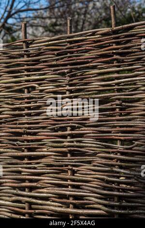 Tradizionali pannelli di recinzione tessuti a mano o hurdles realizzati con rami Hazel spesso con pali di castagno. Foto Stock