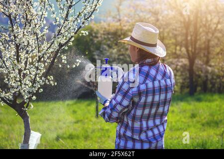 Giardiniere che usa l'irroratrice di raccolto in frutteto. Coltivatore con guanto da giardinaggio spruzzando un albero di frutta in fiore contro le malattie di pianta e parassiti. Foto Stock