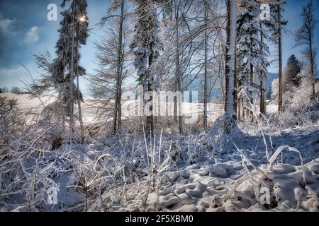 DE - BAVIERA: Scena invernale nell'Isartal vicino a Bad Toelz (HDR-Fotografia) Foto Stock