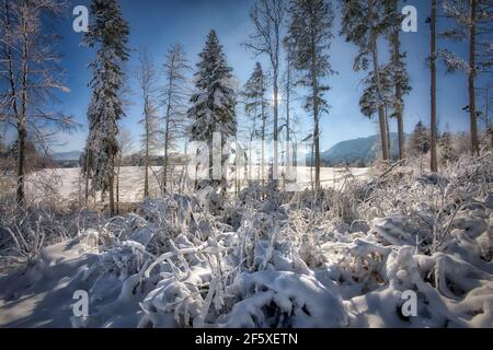 DE - BAVIERA: Scena invernale nell'Isartal vicino a Bad Toelz (HDR-Fotografia) Foto Stock