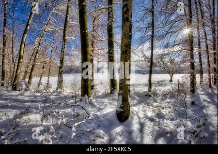 DE - BAVIERA: Scena invernale nell'Isartal vicino a Bad Toelz (HDR-Fotografia) Foto Stock