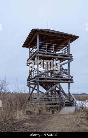 Torre di osservazione degli uccelli in inverno, giorno nuvoloso Foto Stock