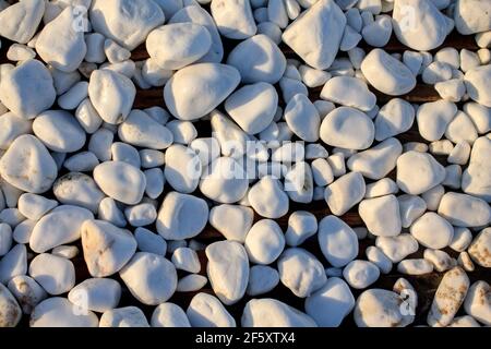 Ciottoli bianchi bagnati della spa, pietre decorative lisce sfondo. Astratto relax sfondo naturale. Armonia natura concetto per il massaggio, la meditazione. Estate Foto Stock