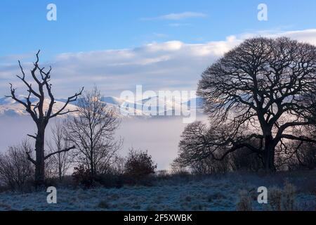 Montagne innevate del Distretto dei Laghi del Nord, Cumbria. Una silhouette stellare di un albero morto sulla riva del lago Bassenthwaite in primo piano Foto Stock