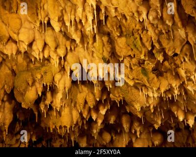 Stalattiti nella Grotta di Charlotten (Charlottenhöhle) vicino a Hürben (parte di Gingen) sulle Alpi Sveve, Baden-Württemberg, Germania Foto Stock