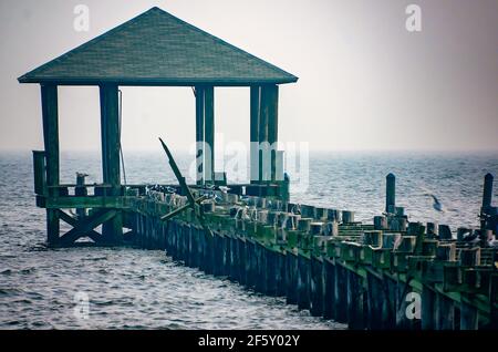 I gabbiani si riuniscono su un molo danneggiato dall'uragano sulla spiaggia di Biloxi, 27 marzo 2021, a Biloxi, Mississippi. Foto Stock