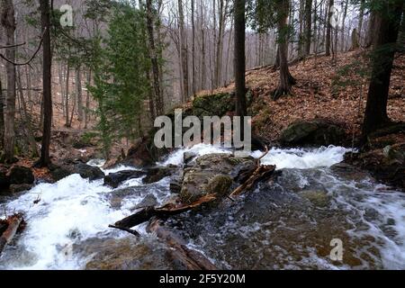 In cima ad una cascata, gonfia dalla neve si scioglie, in una foresta di Quebec in primavera, Gatineau, Quebec, Canada. Foto Stock