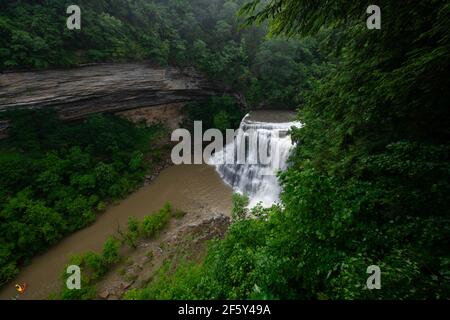 Cascate di Burgess al mattino di Foggy, Tennessee Foto Stock