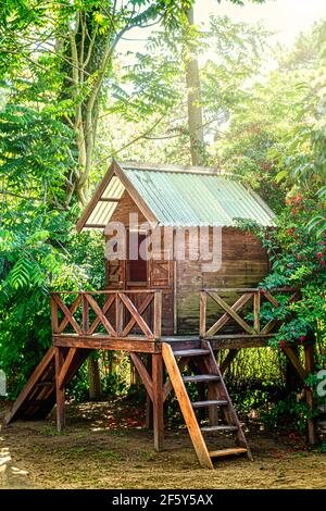 Treehouse per bambini in una mattinata soleggiata nel bosco Foto Stock