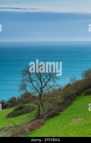 Ness Cove Beach, South West Coast Path, Shaldon, Teignmouth, Devon, Inghilterra, Europa Foto Stock