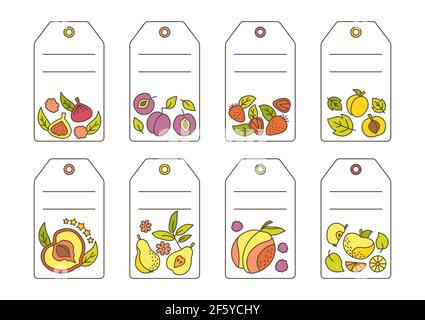 Etichetta con dadini da frutta. Prezzo tropicale frutta hawaiana, ananas pera cocomero e mandarino, fico, limone. Immagine vettoriale vuota isolata succo o prodotto di mercato agricolo Illustrazione Vettoriale