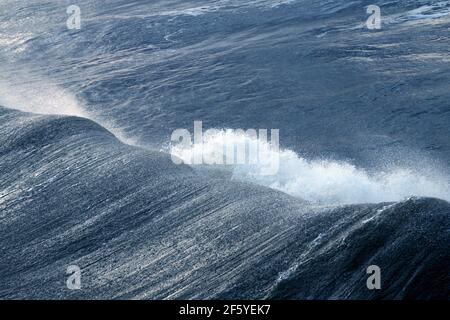 Vista aerea di un'enorme onda oceanica che si infrangono in mare durante un uragano, vista dall'alto e da dietro. Foto Stock