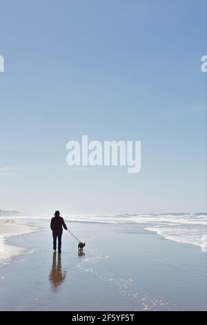 Silhouette di un uomo e di un cane che cammina su una spiaggia. Foto Stock