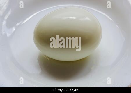 Chiocciole di uovo bianco bollito intero in Saucer Foto Stock