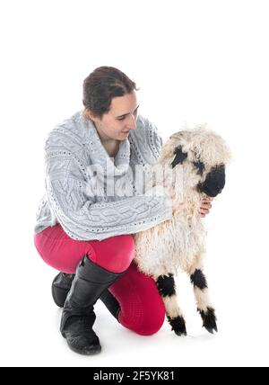 Valais Blacknose e donna di fronte a sfondo bianco Foto Stock