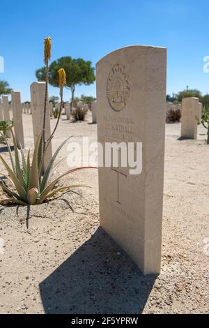 Tombe di guerra del Commonwealth al cimitero di guerra di El Alamein nel nord Egitto. Il cimitero contiene le tombe dei soldati dell'Impero britannico morti durante la seconda guerra mondiale. Foto Stock