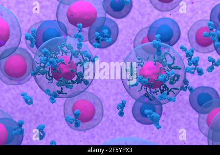 Illustrazione 3d degli anticorpi che emettono cellule B normali Foto Stock