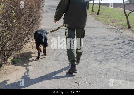 Un uomo militare sta pattugliando la strada con un cane. Giovane adulto in uniforme verde con un rottweiler di servizio su un guinzaglio. Vista dal retro. Orde pubblico Foto Stock