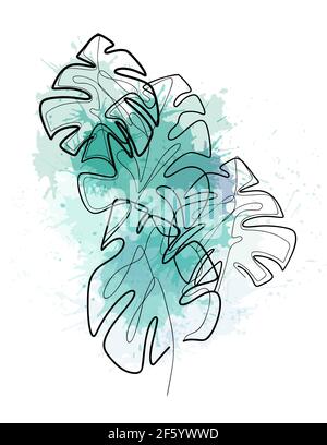 Composizione da foglie monoline di monstera con spruzzi di acquerello verde. Contorno fogliame tropicale. Contorno cespuglio trendy. Illustrazione delicata per Illustrazione Vettoriale